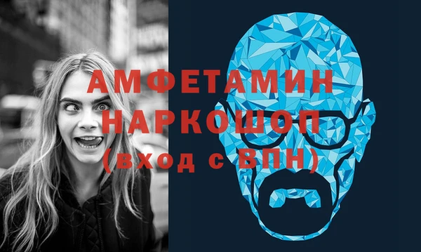 ПСИЛОЦИБИНОВЫЕ ГРИБЫ Вязники